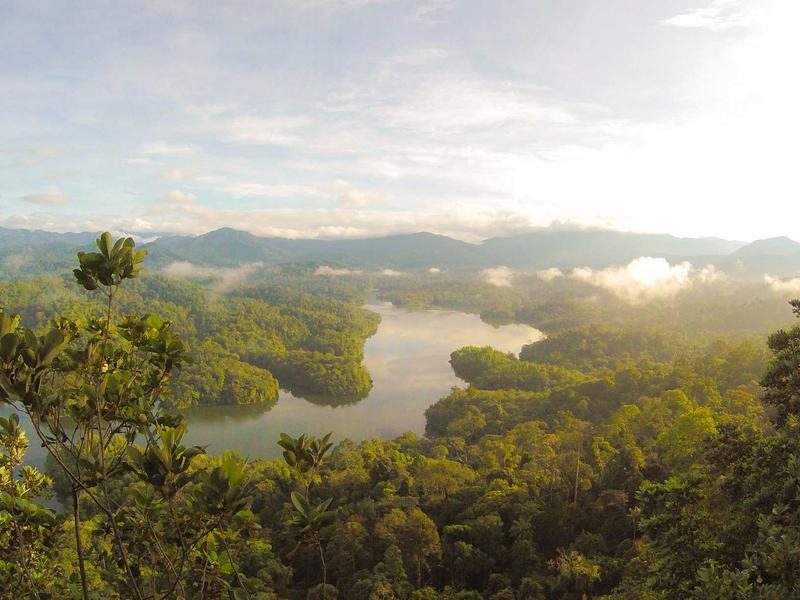 创生之柱<br>btozrgo.cn 鹰状星云深处